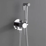 Concealed Hot and Cold Toilet shower
