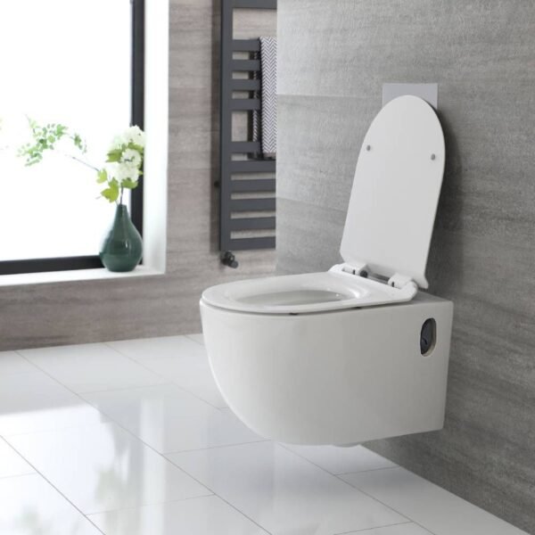 Wall Hung commode 04 Rimless – Dell Sanitary Ware